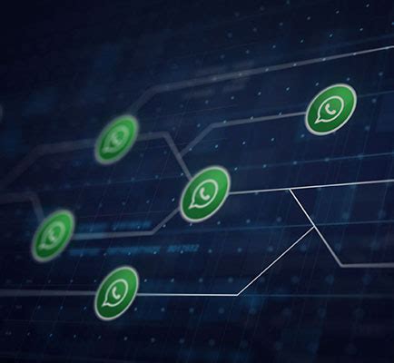 WhatsApp Business API Provider