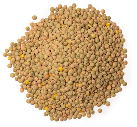 Hurst's® Garlic & Herb Lentils | Hurst Beans