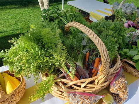 Panama City Beach Direct