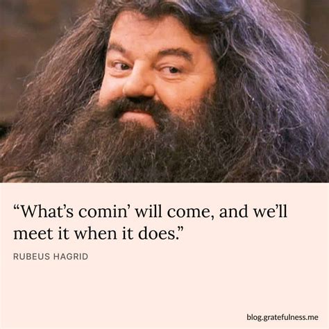 The Most Iconic Quotes From The Harry Potter Films – PDZP