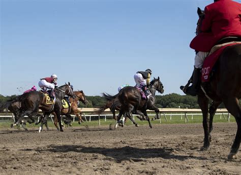 Letter to the Editor: Women in the Thoroughbred Industry Deserve Seats at the Table