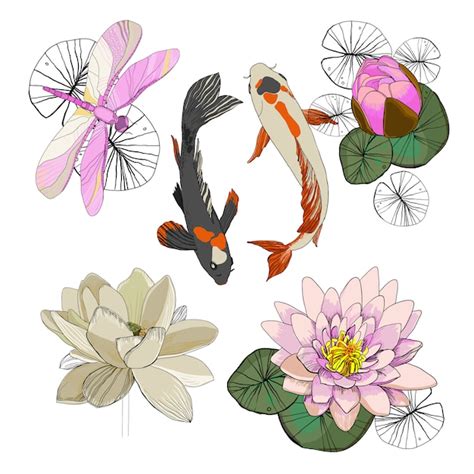 Image result for Lotus CorelDraw File