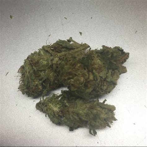Image result for Alien OG Kush