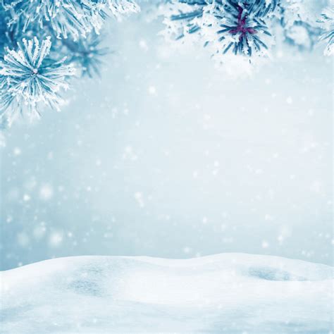 Stopping By Woods on a Snowy Evening - Robert Frost - Speedy Notes