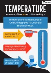 Learning Poster: Tenses - Class 6 PDF Download