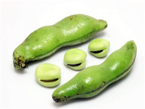 蚕豆的营养价值_蚕豆的功效与作用及食用方法-聚餐网