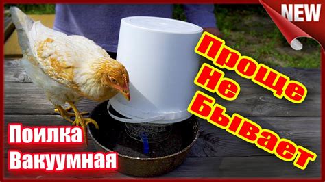 Вакуумная поилка для кур. Как сделать автопоилку для кур своими руками ...