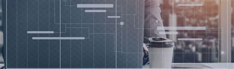 Project Management SAP B1 的图像结果