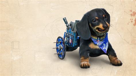 Far Cry 6: How to Get the Chorizo the Sausage Dog Libertad Skin