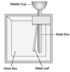 NCERT Solutions for Class 8 Science Chapter 12 - Some Natural Phenomena