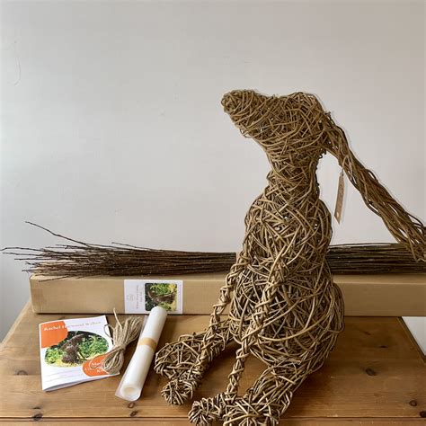 Willow Moon Gazing Hare Kit