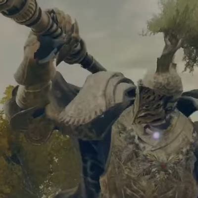 Image result for MorDHA Tree Sentinel