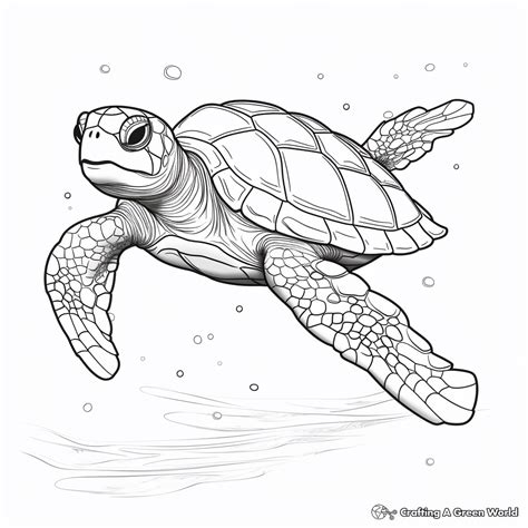 Realistic Sea Animal Coloring Pages - Free & Printable!