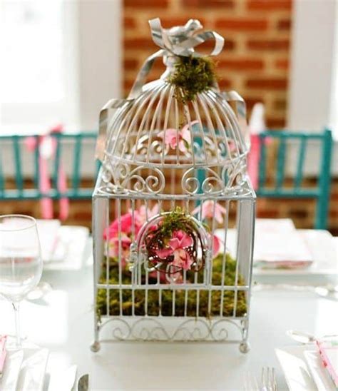 Image result for DIY Java Moss Decorations