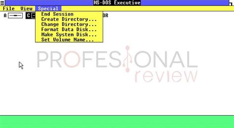 Windows 1.0 Bat 的图像结果