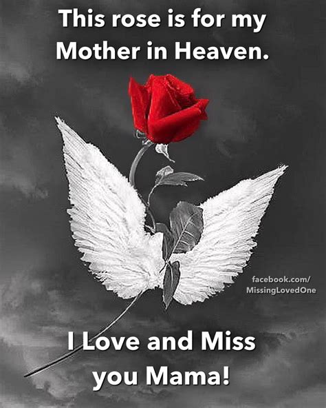 Flowers In Heaven Quotes at Cynthia Beverly blog