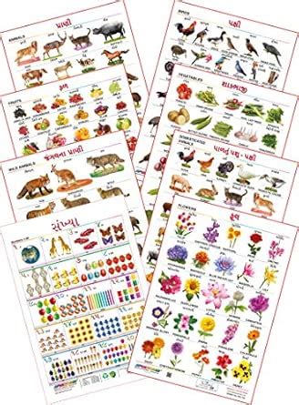 Spectrum Educational Mini Wall Charts (Set of 8) : ( Animals , Birds ...