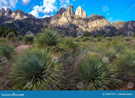 Dawn Light at Organ Mountains-Desert Peaks National Monument in New ...