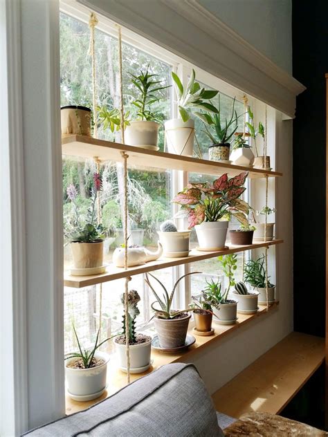 Step-by-Step Guide on How to Make a Beautiful Plant Wall | House plants ...