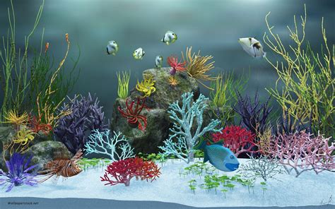 Fish Tank Background Printable