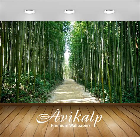 Avikalp Exclusive Awi5175 Bamboo Forest In Korea Nature Full HD Wallpa ...