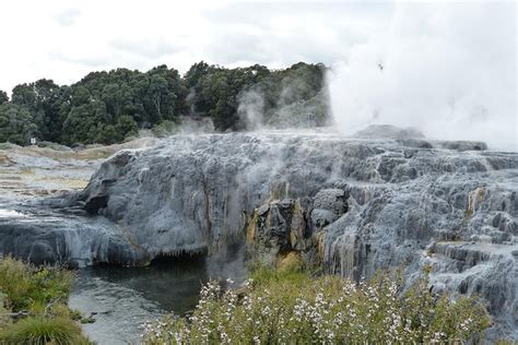2024 (Auckland Central) Auckland to Rotorua Day Tour