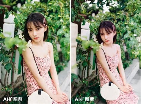 Ai 阔图 的图像结果