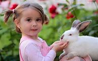 Image result for Baby Rabbits Found in Yard