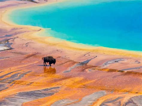 Yosemite vs. Yellowstone: Which national park is the real GOAT?