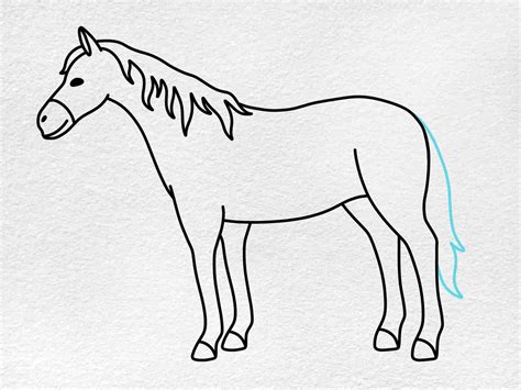 How To Draw A Simple Horse For Kids