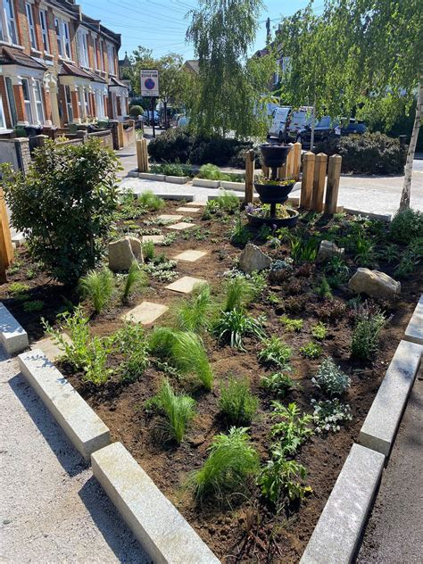 Rain Gardens for Natural Water Management | Meristem Design