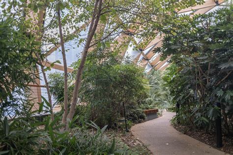 The ULTIMATE map of things to do and see in London with kids - London ...