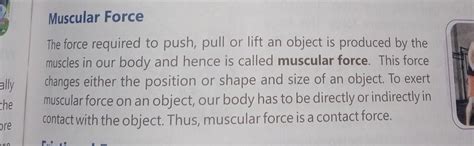 what is muscular force? explain it - Brainly.in