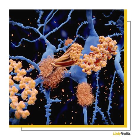 AOD 9604: Complete Guide to a Fat-Burning Peptide | Lindy Health