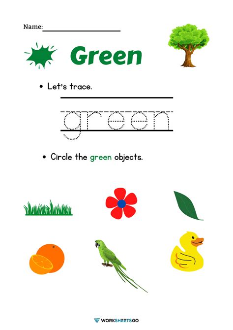 Image result for Green Color Exercise