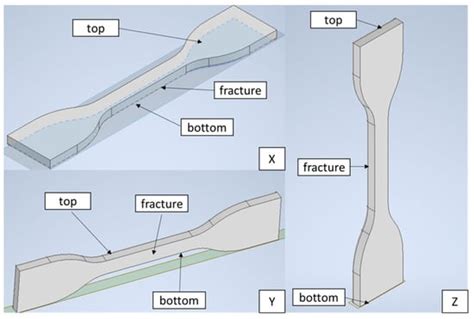 Investigating Microstructural and Mechanical Behavior of DLP-Printed ...