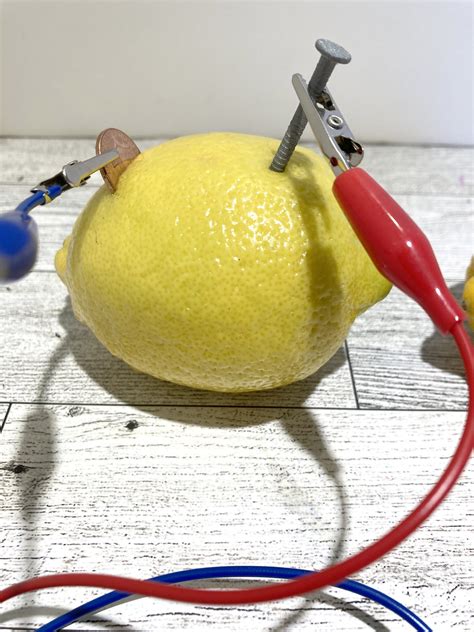 How To Make a Lemon Battery | Little Bins for Little Hands