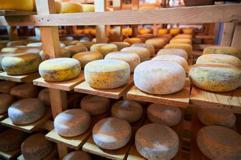 Image result for Ancient Cheese Factory