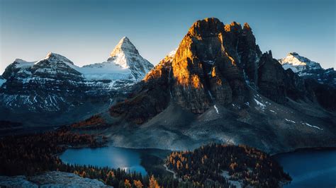 Image result for JavaScript Propper Library Templates