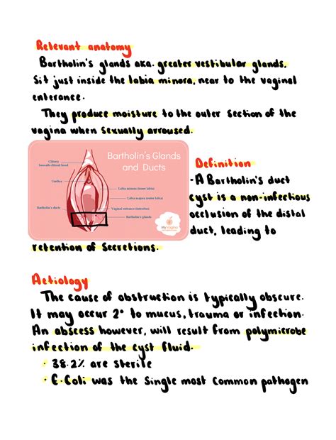 Balloon Catheter Bartholin Cyst at Frances Garrison blog