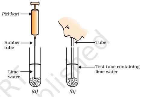 SATHEE: Life Processes