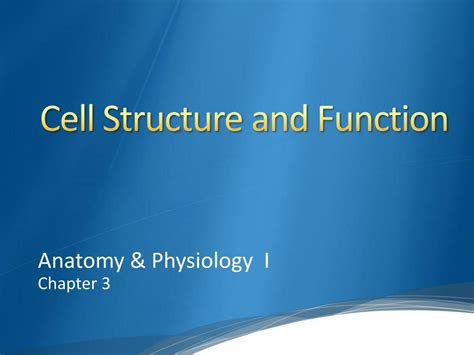 Cell Structure and Function 的图像结果