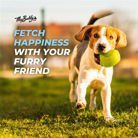 My Buddy And Me on LinkedIn: #mybuddyandme #petcare #petshampoo # ...