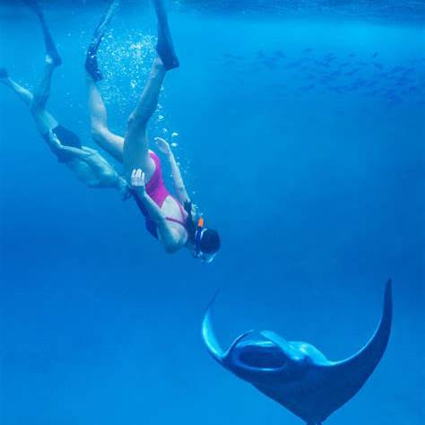 Maafushi scuba diving
