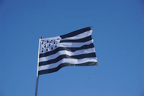 Flag Of Brittany Free Stock Photo - Public Domain Pictures