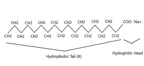 NCERT Summary: Carbon and Its Compounds - Science and Technology for ...