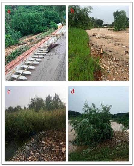 Spatio-Temporal Dynamic Architecture of Living Brush Mattress: Root ...