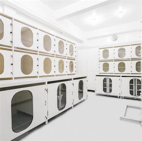 What Is A Pet Hotel at Eden Mandalis blog