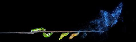 A Natural TranS/4mation Part 3: Empower Your Business