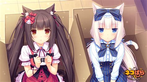 Nekopara Chocola Wallpapers - Wallpaper Cave